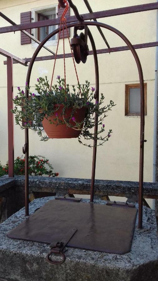 Rural Apartment Carolina Zrenj Exterior photo