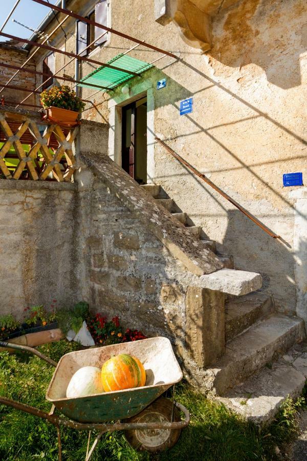 Rural Apartment Carolina Zrenj Exterior photo